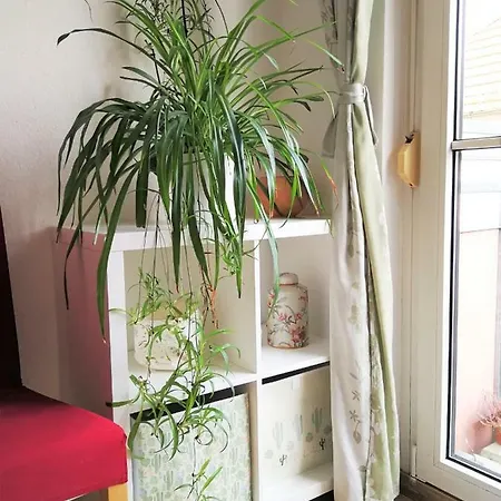 Quiet City-apt, 4min City-center, 18min Fair Nuernberg!!! * Нюрнберг